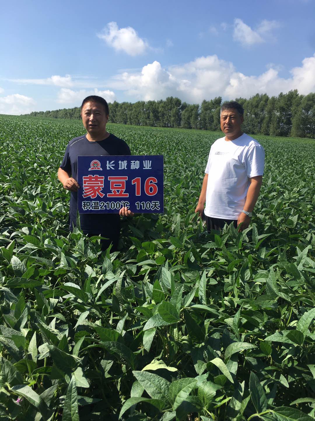 1600396436752330.jpg mmexport1600236668582.jpg