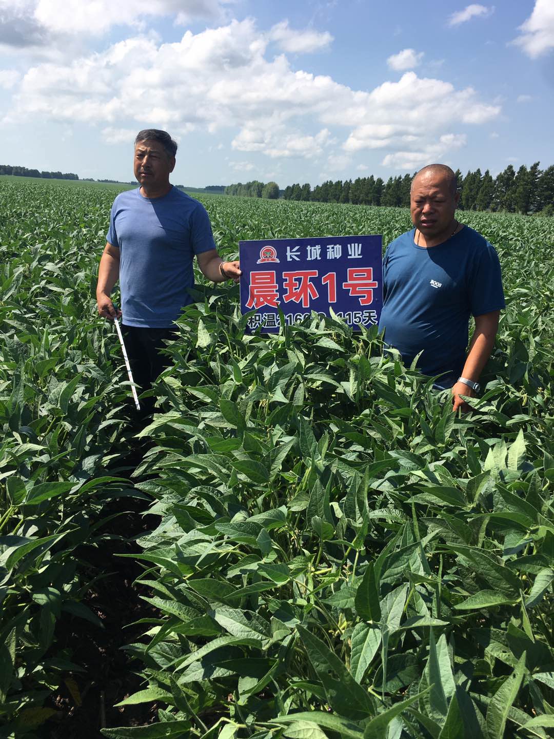 1600396999836483.jpg mmexport1600236681693.jpg