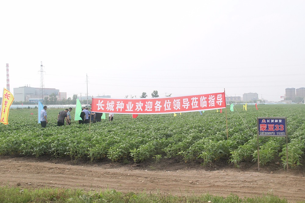 1629881744101733. jpg