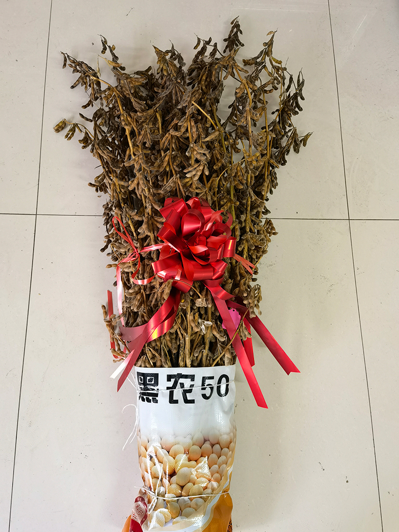 1697707842254074.jpg IMG_20220929_143406.jpg